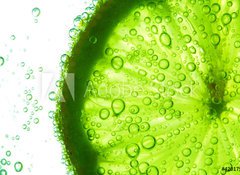 Samolepka flie 100 x 73  lime slice in water, 100 x 73 cm