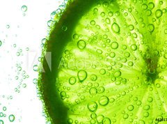 Fototapeta vliesov 270 x 200, 42017906 - lime slice in water - vpnit pltek ve vod