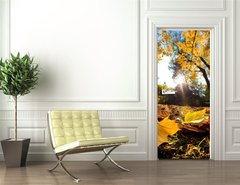 Samolepka na dvee flie 90 x 220  Fall autumn park. Falling leaves in a sunny day, 90 x 220 cm