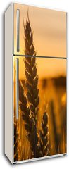 Samolepka na lednici flie 80 x 200  Wheat Stalk silhouette, 80 x 200 cm