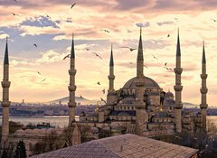Fototapeta vliesov 100 x 73, 42142890 - The Blue Mosque, Istanbul, Turkey.