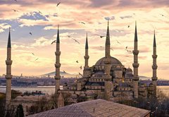 Samolepka flie 145 x 100, 42142890 - The Blue Mosque, Istanbul, Turkey. - Modr meita, Istanbul, Turecko.