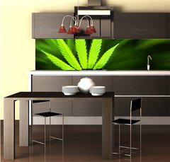 Fototapeta do kuchyn flie 260 x 60, 42226543 - Marijuana background