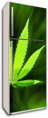 Samolepka na lednici flie 80 x 200, 42226543 - Marijuana background