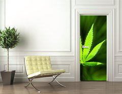 Samolepka na dvee flie 90 x 220, 42226543 - Marijuana background