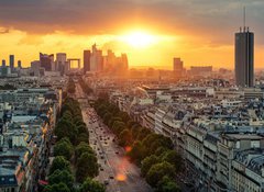 Samolepka flie 100 x 73, 42267381 - Paris