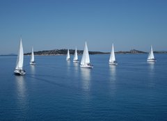 Fototapeta papr 254 x 184, 42307217 - Sailing race on Adriatic sea