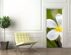 Samolepka na dvee flie 90 x 220  tropical flowers frangipani (plumeria), 90 x 220 cm