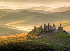 Fototapeta vliesov 100 x 73, 42362705 - Toscana, Italia