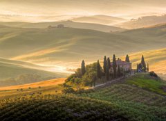 Fototapeta pltno 160 x 116, 42362705 - Toscana, Italia