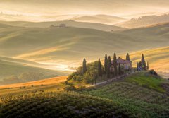 Fototapeta papr 184 x 128, 42362705 - Toscana, Italia - Toscana, Itlie