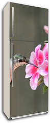 Samolepka na lednici flie 80 x 200  Hummingbird Feeding, 80 x 200 cm