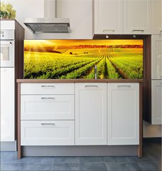 Fototapeta do kuchyn flie 180 x 60  Stunning Vineyard Sunset, 180 x 60 cm