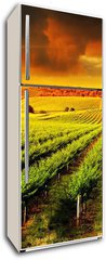 Samolepka na lednici fólie 80 x 200, 42395057 - Stunning Vineyard Sunset - Ohromující západ slunce na vinici