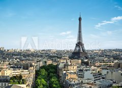 Fototapeta pltno 240 x 174, 42449160 - Tour Eiffel Paris France