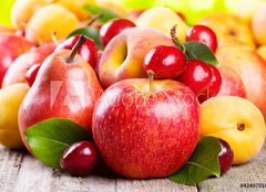 Fototapeta pltno 240 x 174, 42497010 - fruits and berries - ovoce a bobule