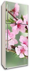 Samolepka na lednici flie 80 x 200  beautiful pink peach blossom on green background, 80 x 200 cm