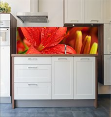 Fototapeta do kuchyn flie 180 x 60  red lilly flowers, 180 x 60 cm