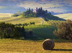 Samolepka flie 100 x 73, 42858782 - Paesaggio toscano. Podere, campo di grano