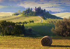 Fototapeta184 x 128  Paesaggio toscano. Podere, campo di grano, 184 x 128 cm