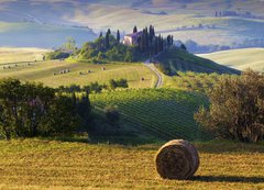 Fototapeta200 x 144  Paesaggio toscano. Podere, campo di grano, 200 x 144 cm