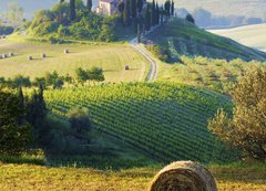 Fototapeta vliesov 200 x 144, 42859045 - campagna Toscana, Italia