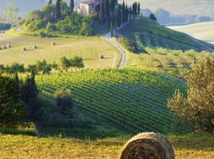 Fototapeta vliesov 270 x 200, 42859045 - campagna Toscana, Italia