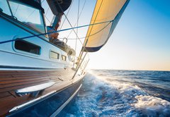 Samolepka flie 145 x 100  Sailing, 145 x 100 cm