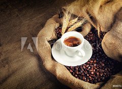 Samolepka flie 100 x 73, 43071769 - caff rustico 2