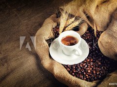 Samolepka flie 270 x 200  caff rustico 2, 270 x 200 cm