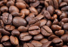 Fototapeta papr 184 x 128, 43085500 - Coffee beans in closeup