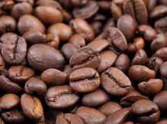 Samolepka flie 270 x 200, 43085500 - Coffee beans in closeup
