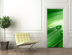 Samolepka na dvee flie 90 x 220, 43098677 - Plantleaf