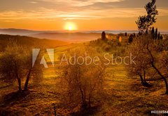 Samolepka flie 145 x 100  Val d Orcia Toscana, 145 x 100 cm