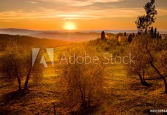 Fototapeta145 x 100  Val d Orcia Toscana, 145 x 100 cm