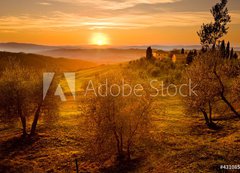 Fototapeta200 x 144  Val d Orcia Toscana, 200 x 144 cm