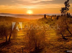 Samolepka flie 270 x 200  Val d Orcia Toscana, 270 x 200 cm