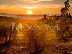 Fototapeta330 x 244  Val d Orcia Toscana, 330 x 244 cm