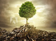 Fototapeta papr 160 x 116, 43132259 - Survive