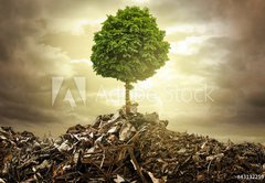 Fototapeta pltno 174 x 120, 43132259 - Survive