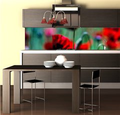 Fototapeta do kuchyně fólie 260 x 60, 431365437 - Red poppy flowers ina meadow - Červené květy máku na louce