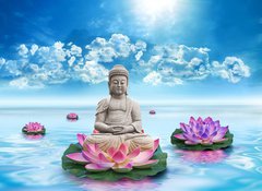 Samolepka flie 100 x 73  Statue Bouddha, 100 x 73 cm