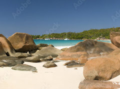 Samolepka flie 270 x 200, 43245782 - Seychelles