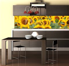 Fototapeta do kuchyn flie 260 x 60, 43246841 - Beautiful sunflower field
