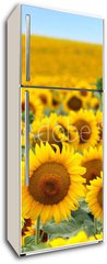 Samolepka na lednici flie 80 x 200, 43246841 - Beautiful sunflower field