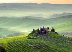 Fototapeta papr 160 x 116, 43281826 - Podere in Toscana, Italia
