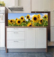 Fototapeta do kuchyn flie 180 x 60  Sonnenblumen, 180 x 60 cm