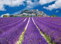 Fototapeta vliesov 100 x 73, 43444999 - Lavande en Provence, village proven al en France - Lavande en Provence, vesnice osvden po Francii