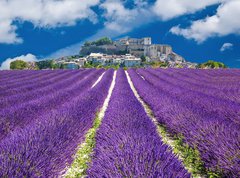 Samolepka flie 270 x 200, 43444999 - Lavande en Provence, village proven al en France