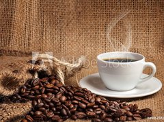 Samolepka flie 270 x 200, 43457581 - coffee